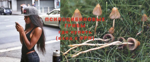 сатива Алексин