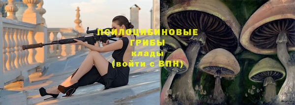соль курить ск Алексеевка