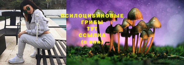 меф Алзамай