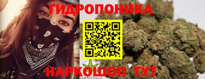 apvp Пенза