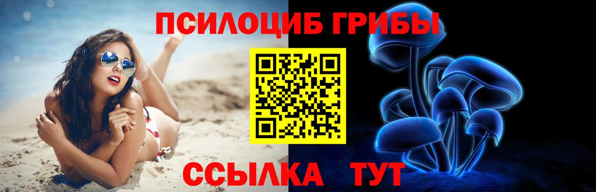 Галлюциногенные грибы GOLDEN TEACHER  Галлюциногенные грибы Psilocybine cubensis  где продают наркотики  Вход с VPN  Феодосия 